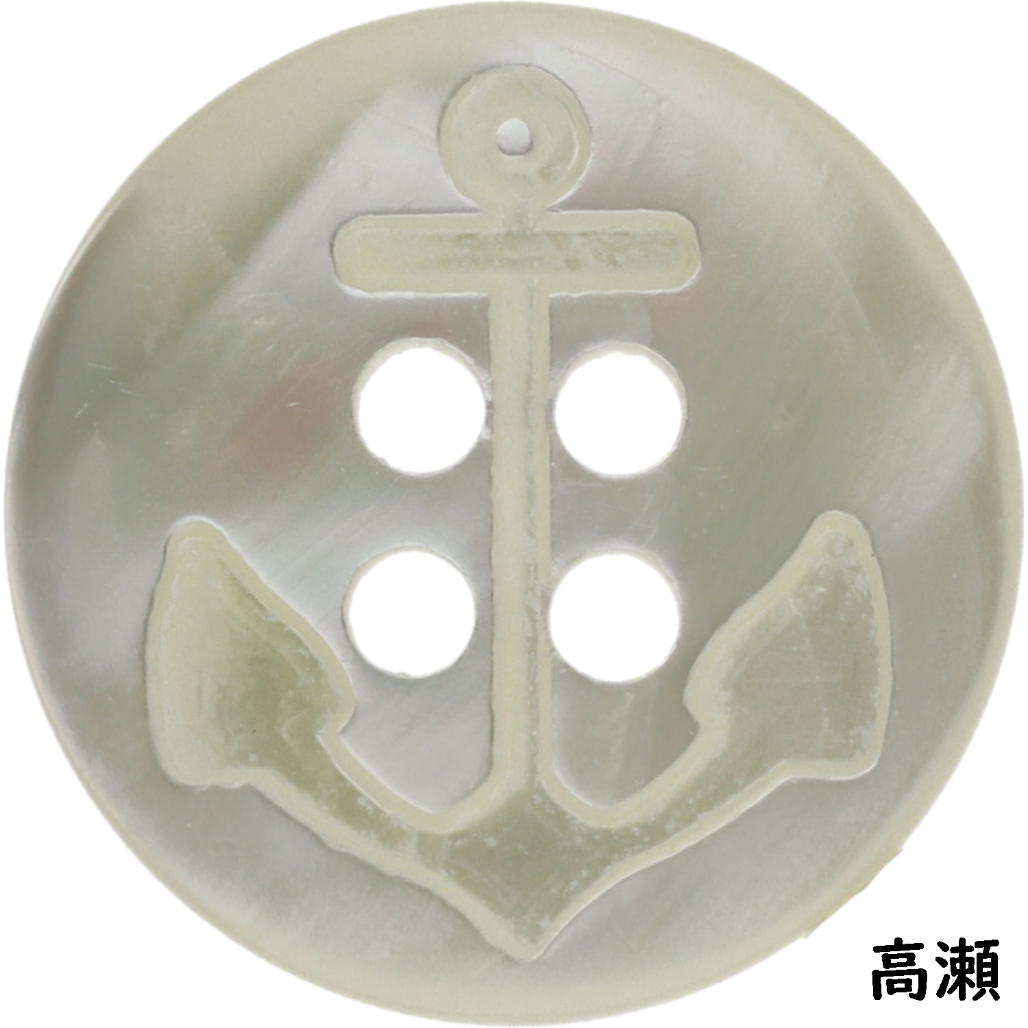 しあわせになれる貝 宝石のような輝きはまるでアクセサリー。約100種の しあわせになれる貝 宝石のような輝きはまるでアクセサリー。約100種の