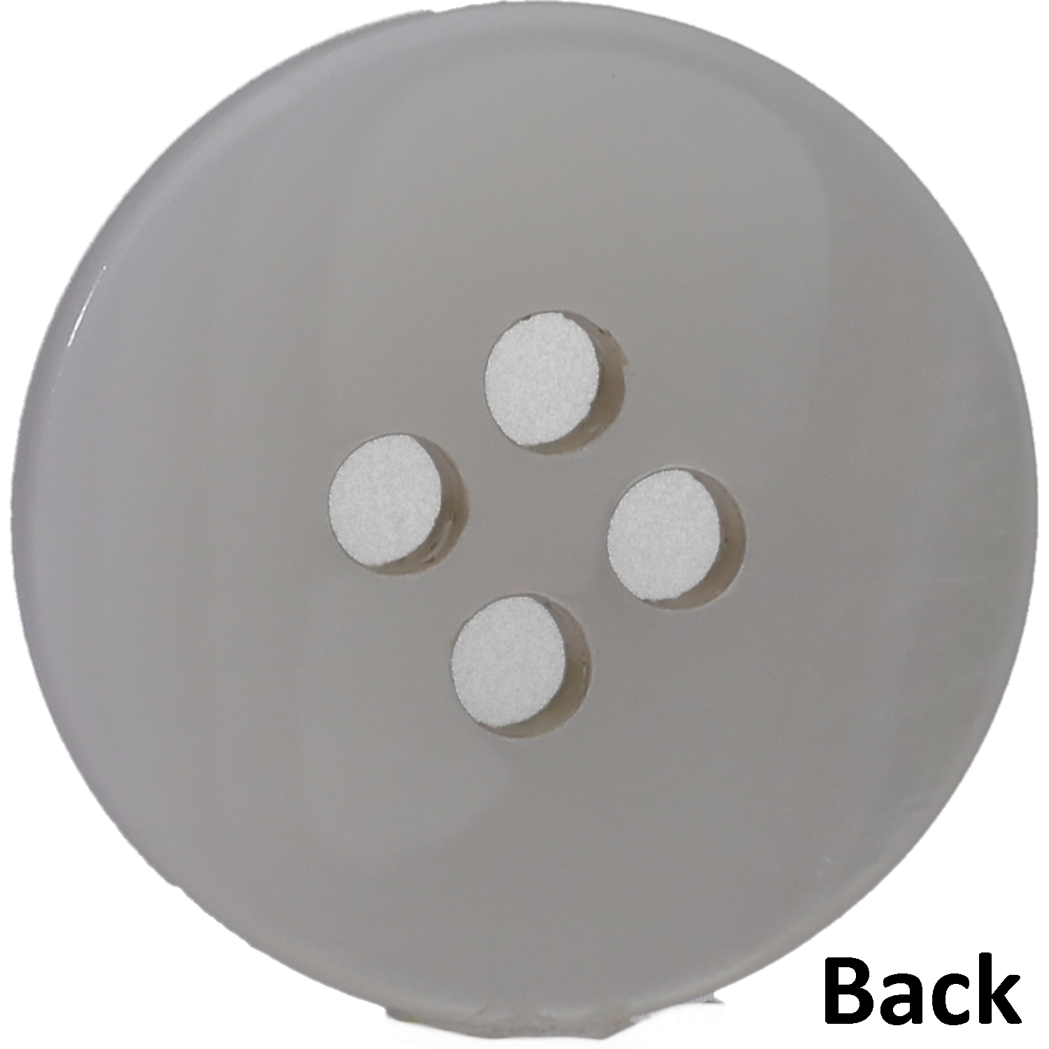 しあわせになれる貝 宝石のような輝きはまるでアクセサリー。約100種の しあわせになれる貝 宝石のような輝きはまるでアクセサリー。約100種の